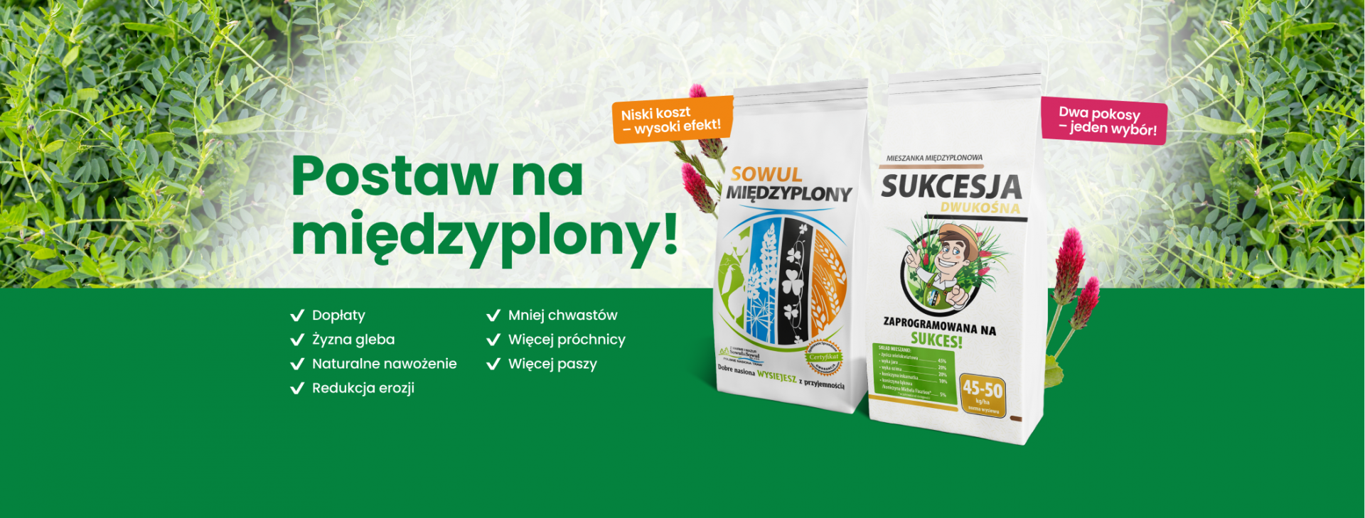 Baner strony głównej