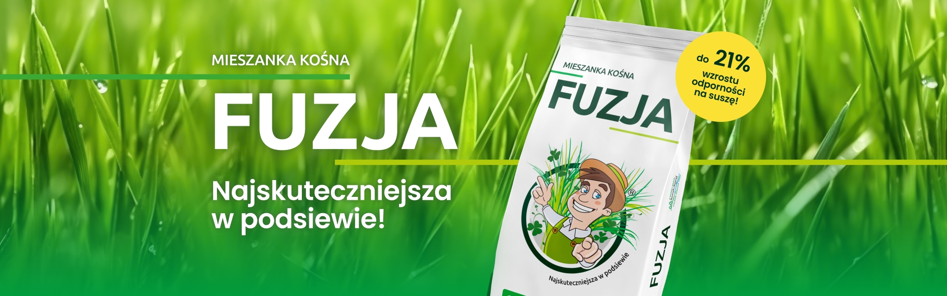 Baner strony głównej
