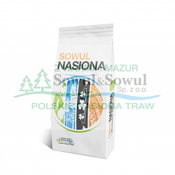 Mieszanka AUTOSTRADA PROFI 20 kg